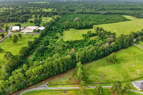 Terreno en venta en Williston, Florida № 2277169 - foto 4