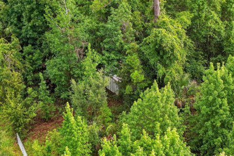 Terreno en venta en Williston, Florida № 2277169 - foto 7