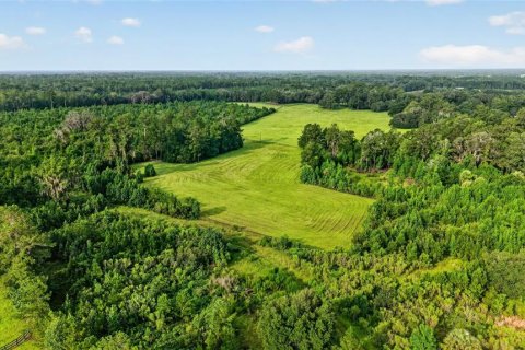 Terreno en venta en Williston, Florida № 2277169 - foto 11