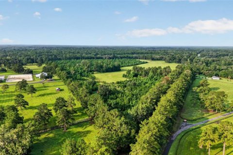Terreno en venta en Williston, Florida № 2277169 - foto 20