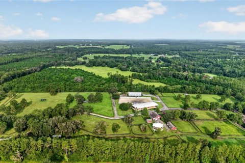 Terreno en venta en Williston, Florida № 2277169 - foto 12