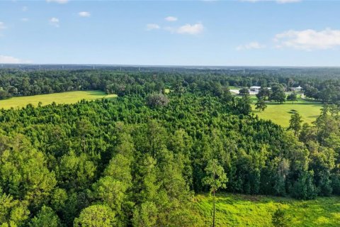 Terreno en venta en Williston, Florida № 2277169 - foto 14