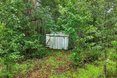 Terreno en venta en Williston, Florida № 2277169 - foto 6