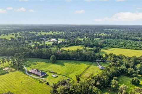 Terreno en venta en Williston, Florida № 2277169 - foto 22