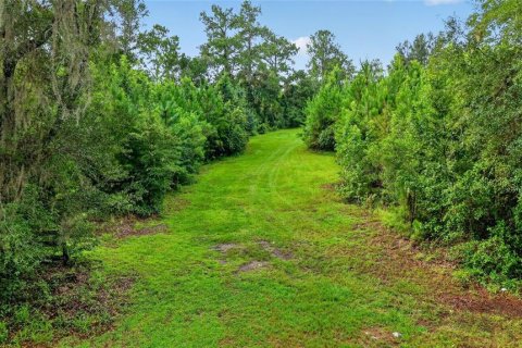 Terreno en venta en Williston, Florida № 2277169 - foto 2