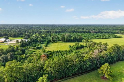 Terreno en venta en Williston, Florida № 2277169 - foto 25