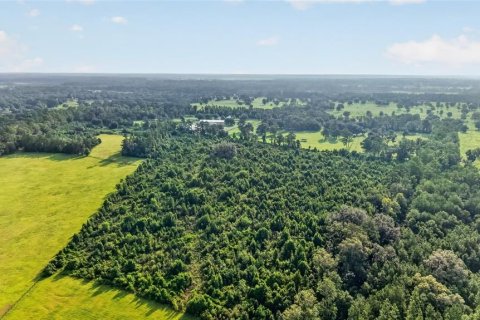 Terreno en venta en Williston, Florida № 2277169 - foto 19