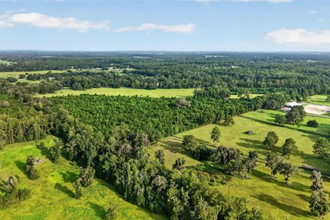 Terreno en venta en Williston, Florida № 2277169 - foto 16