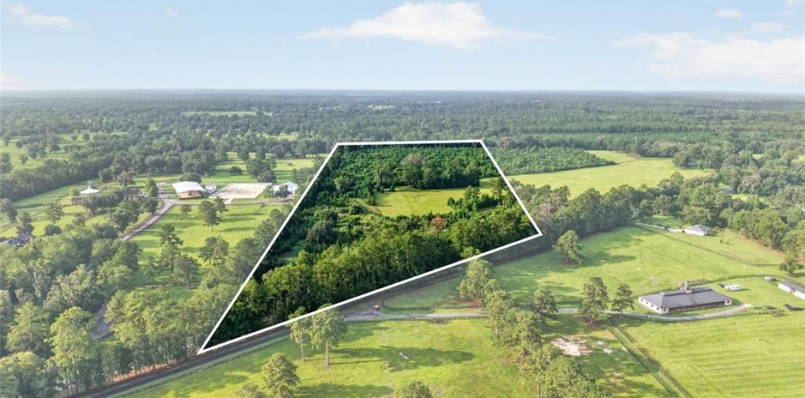 Terreno en Williston, Florida № 2277169