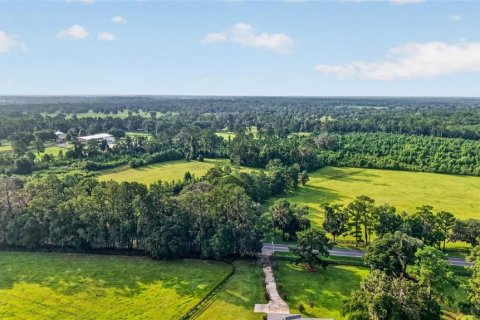 Terreno en venta en Williston, Florida № 2277169 - foto 24