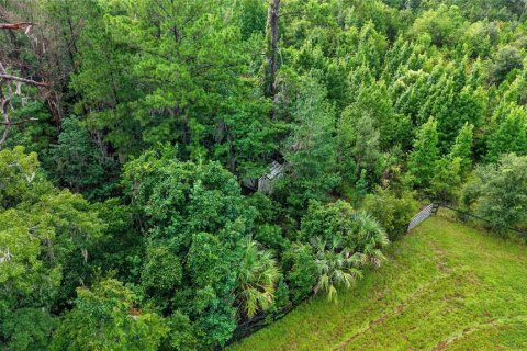 Terreno en venta en Williston, Florida № 2277169 - foto 9