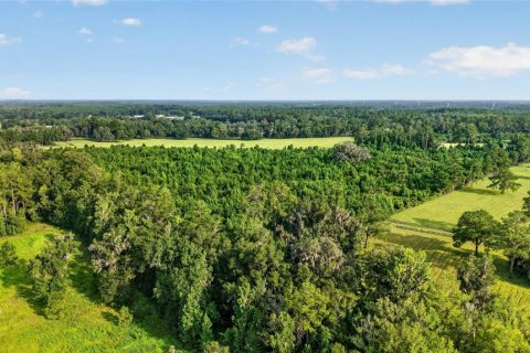 Terreno en venta en Williston, Florida № 2277169 - foto 13