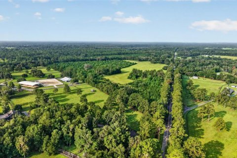 Terreno en venta en Williston, Florida № 2277169 - foto 21