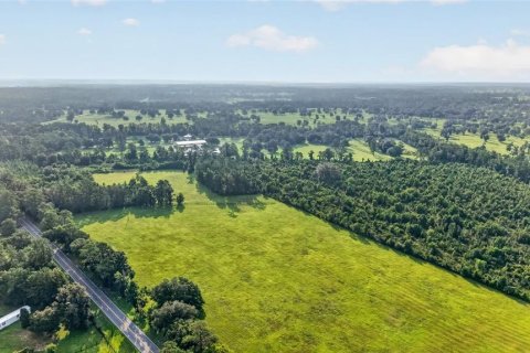 Terreno en venta en Williston, Florida № 2277169 - foto 18