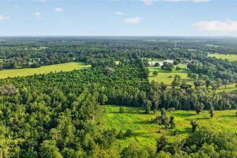 Terreno en venta en Williston, Florida № 2277169 - foto 17