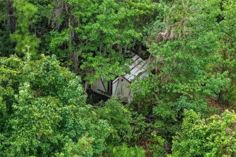 Terreno en venta en Williston, Florida № 2277169 - foto 10