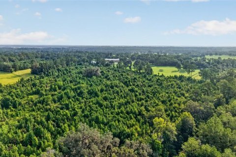 Terreno en venta en Williston, Florida № 2277169 - foto 15