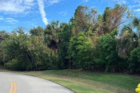 Land in Marco Island, Florida № 1882972 - photo 8