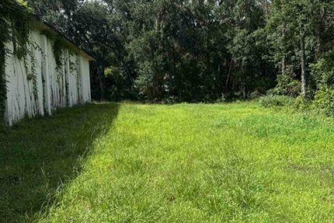 Propiedad comercial en alquiler en Palatka, Florida, 192.12 m2 № 2275420 - foto 7