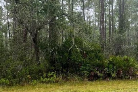 Land in Indian lake estates, Florida № 2160976