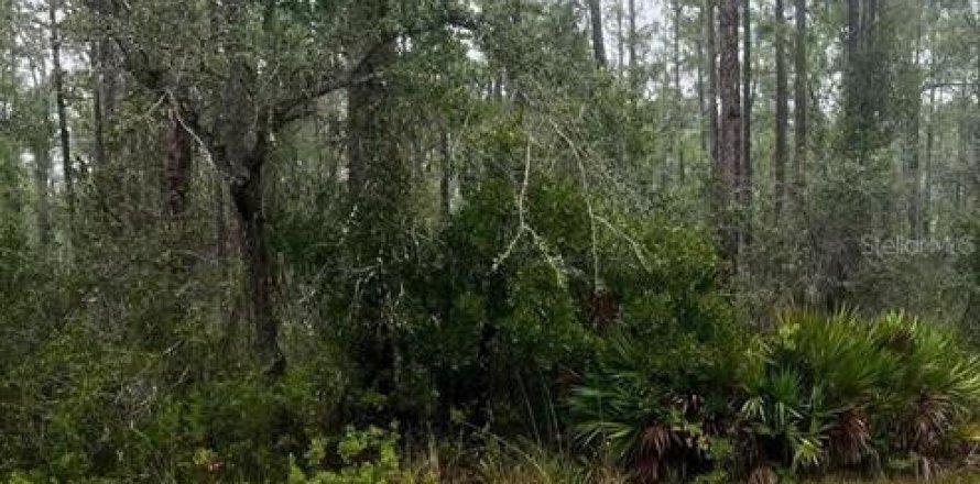 Land in Indian lake estates, Florida № 2160976