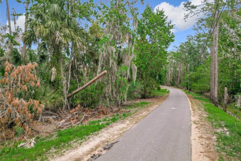 Terreno en venta en Deltona, Florida № 1566754 - foto 16