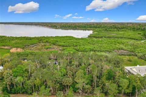 Terreno en venta en Deltona, Florida № 1566754 - foto 11