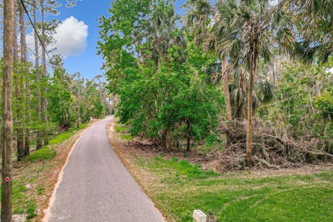 Terreno en venta en Deltona, Florida № 1566754 - foto 19