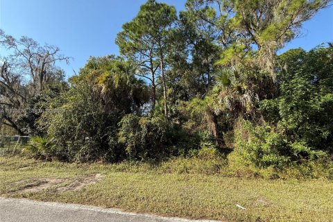 Terreno en venta en Clewiston, Florida № 1993751 - foto 6