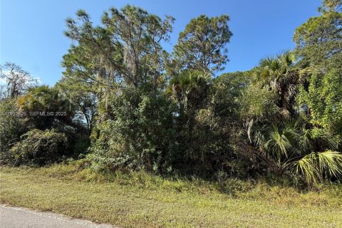 Terreno en venta en Clewiston, Florida № 1993751 - foto 4