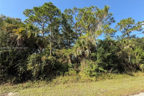 Terreno en venta en Clewiston, Florida № 1993751 - foto 8