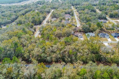 Terrain à vendre à Citrus Springs, Floride № 2228963 - photo 13