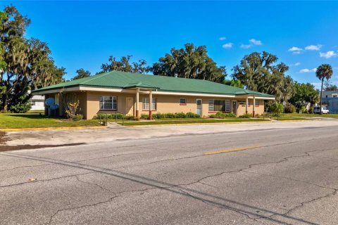 Immobilier commercial à Bowling Green, Floride 360.46 m2 № 2318866