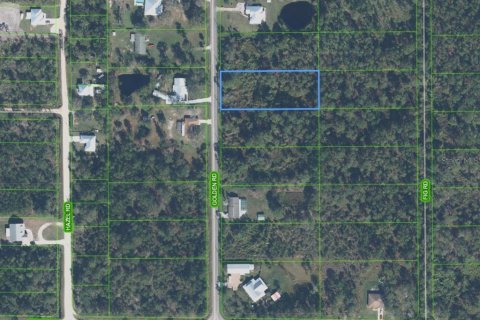 Land in Sebring, Florida № 2122996 - photo 2
