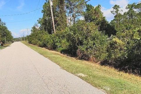 Land in Sebring, Florida № 2122996