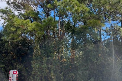 Terreno en venta en Fort Pierce, Florida № 833041 - foto 1