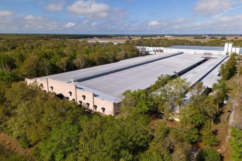 Propiedad comercial en alquiler en Brooksville, Florida, 836.12 m2 № 1917329 - foto 1