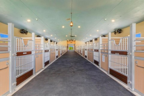 Casa en venta en Wellington, Florida, 3 dormitorios, 584.91 m2 № 2173723 - foto 20