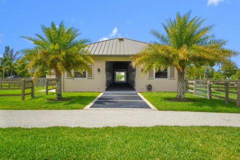 Casa en venta en Wellington, Florida, 3 dormitorios, 584.91 m2 № 2173723 - foto 4