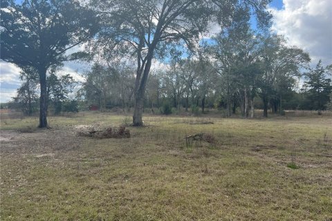 House in Branford, Florida 5 bedrooms, 240.06 sq.m. № 1582013 - photo 4