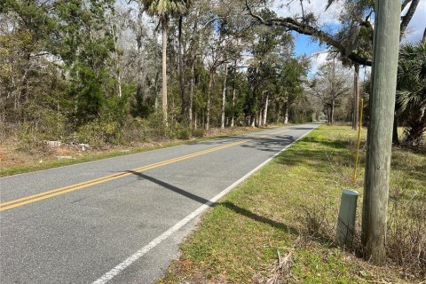House in Branford, Florida 5 bedrooms, 240.06 sq.m. № 1582013 - photo 2