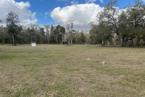 House in Branford, Florida 5 bedrooms, 240.06 sq.m. № 1582013 - photo 3