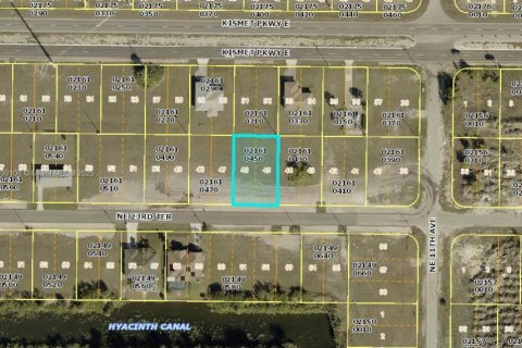 Land in Cape Coral, Florida № 1825755 - photo 1