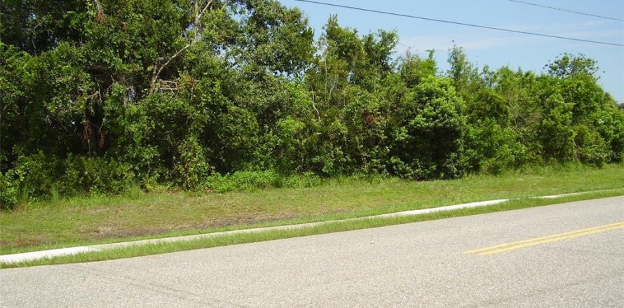 Terreno en Kissimmee, Florida № 2239944