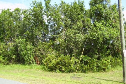 Terreno en venta en Kissimmee, Florida № 2239944 - foto 2
