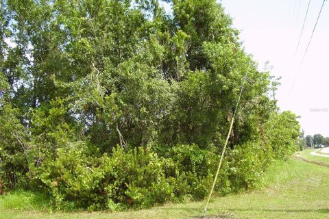 Terreno en venta en Kissimmee, Florida № 2239944 - foto 4
