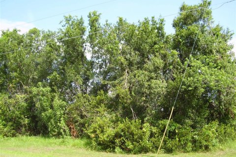 Terreno en venta en Kissimmee, Florida № 2239944 - foto 5