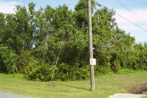 Terreno en venta en Kissimmee, Florida № 2239944 - foto 3