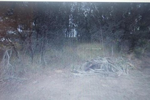 Land in Avon Park, Florida № 2228572 - photo 2