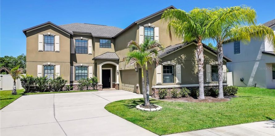 Villa ou maison à Wimauma, Floride 7 chambres, 352.94 m2 № 2310676